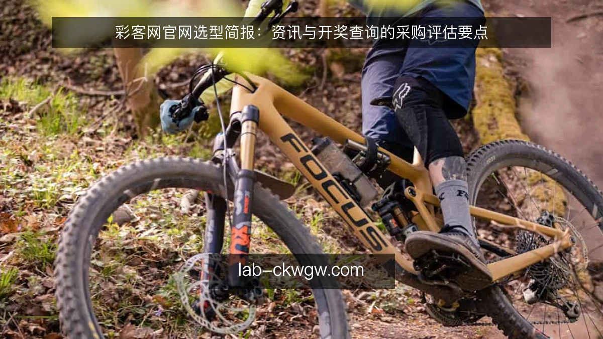 彩客网官网选型简报：资讯与开奖查询的采购评估要点